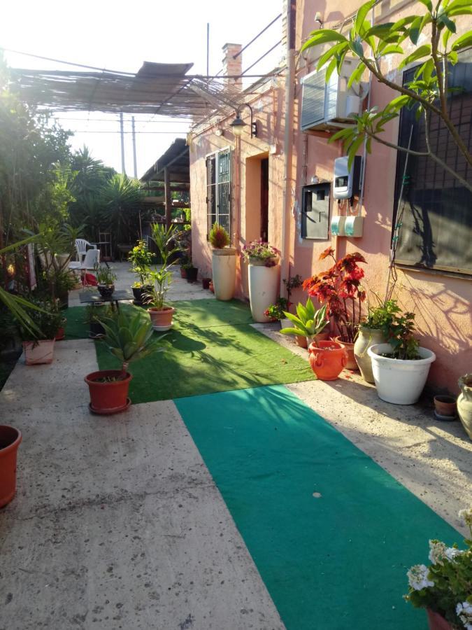 B B Casa Vacanze Il Pino Di Pino Lascari Kültér fotó